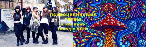 амф Арсеньев
